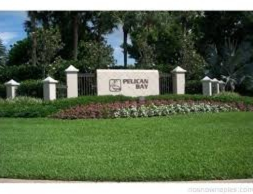 Year‑Round Commercial Landscape Maintenance: Essential Tasks for a Pristine Property