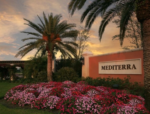 Spring Flower Rotations and Bed Prep for HOAs and Commercial Properties in Southwest Florida