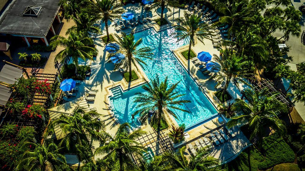 Aerial view of a resort pool surrounded by palm trees, lounge chairs, and blue umbrellas, with nearby buildings and pathways visible. The pool has a unique shape and clear blue water.