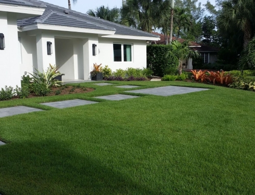 Property Walkthroughs: How HOA Boards Can Prepare for Better Landscape Results