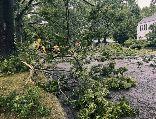 Post-Storm Recovery Planning: Protecting Access, Assets, and Accountability