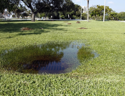 Proactive Drainage Planning Before Peak Rainfall Season